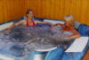 piscine à l'hôtel Royan