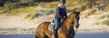 Balade A Cheval Royan