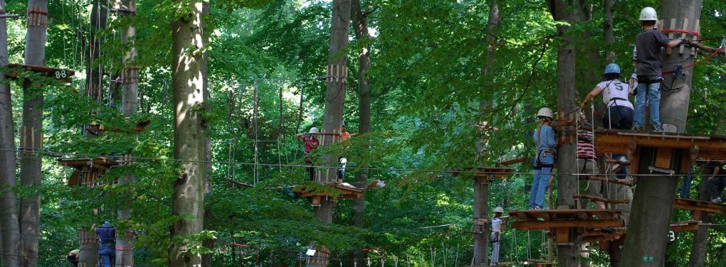 Accrobranche Familie