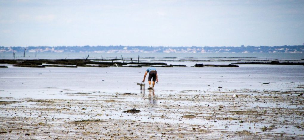 La Peche A Pied Charente Maritime 1900x880