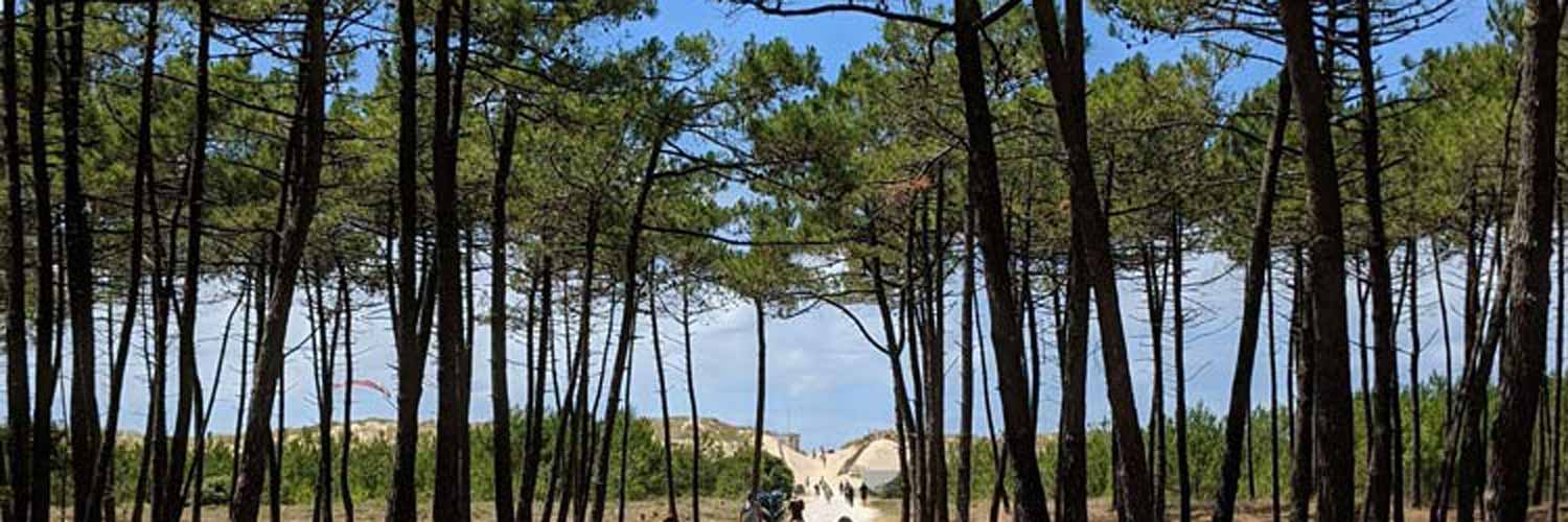 La Palmyre Découvrir La Palmyre en CharenteMaritime