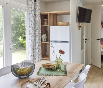 Mobile Home ELITE Pièce de vie