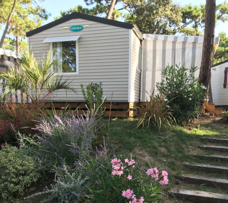Camping 4 étoiles à Saint Georges De Didonne