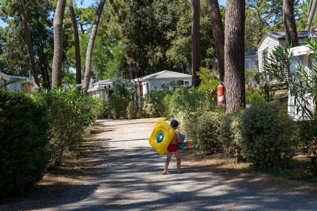 Campsite Vacaf Charente Maritime