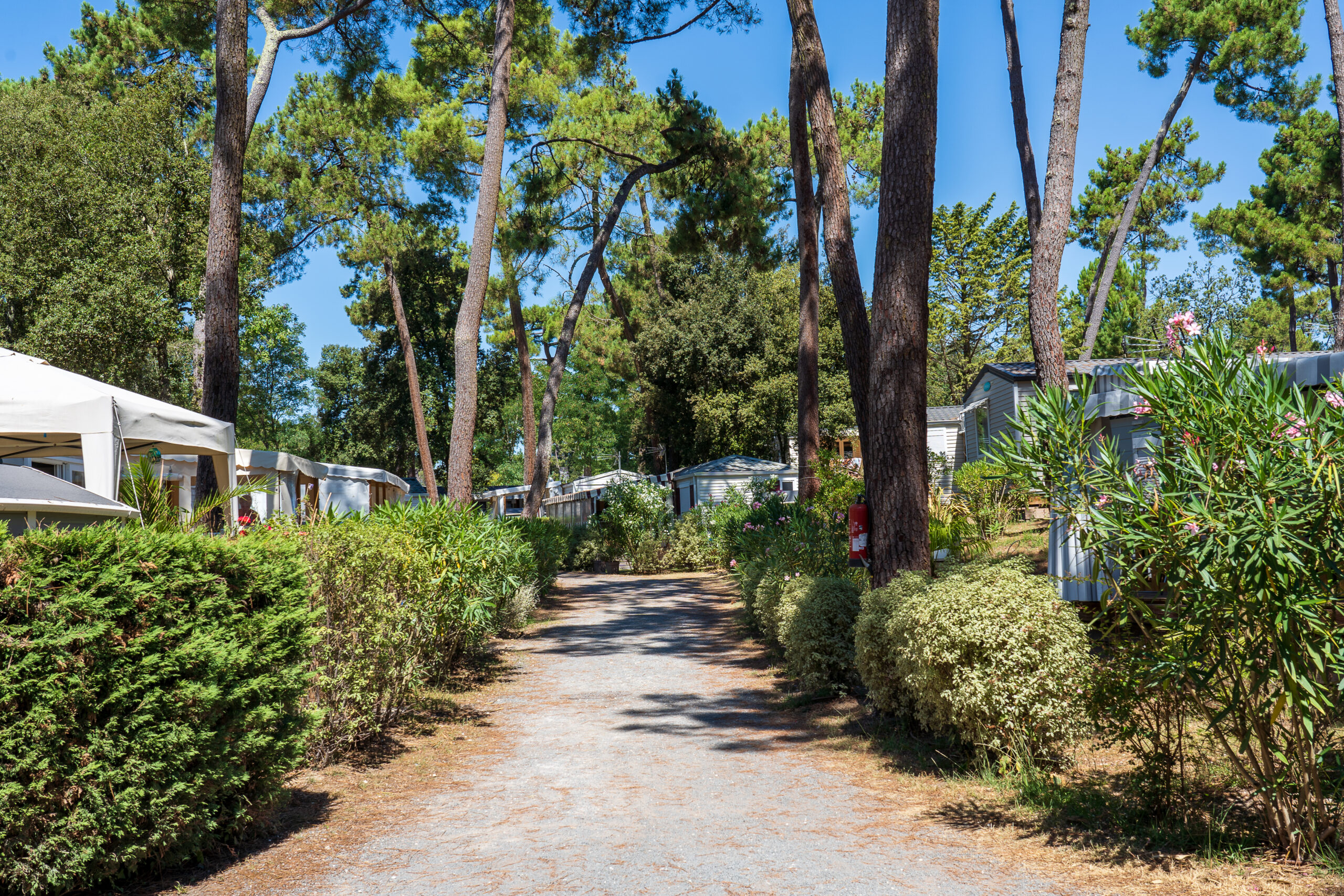 Campsite Vacaf St Georges De Didonne